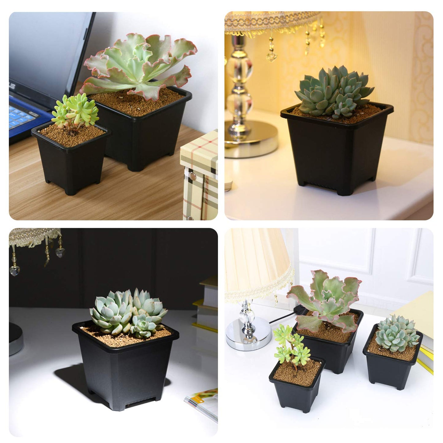 GOETOR 4 Inch Plastic Plant Pots Square Nursery Pot 25 PCS Sturdy & Reusable Starter Container for Starting Seedlings, Succulents,Cuttings & Transplanting with Drainage Holes, Black