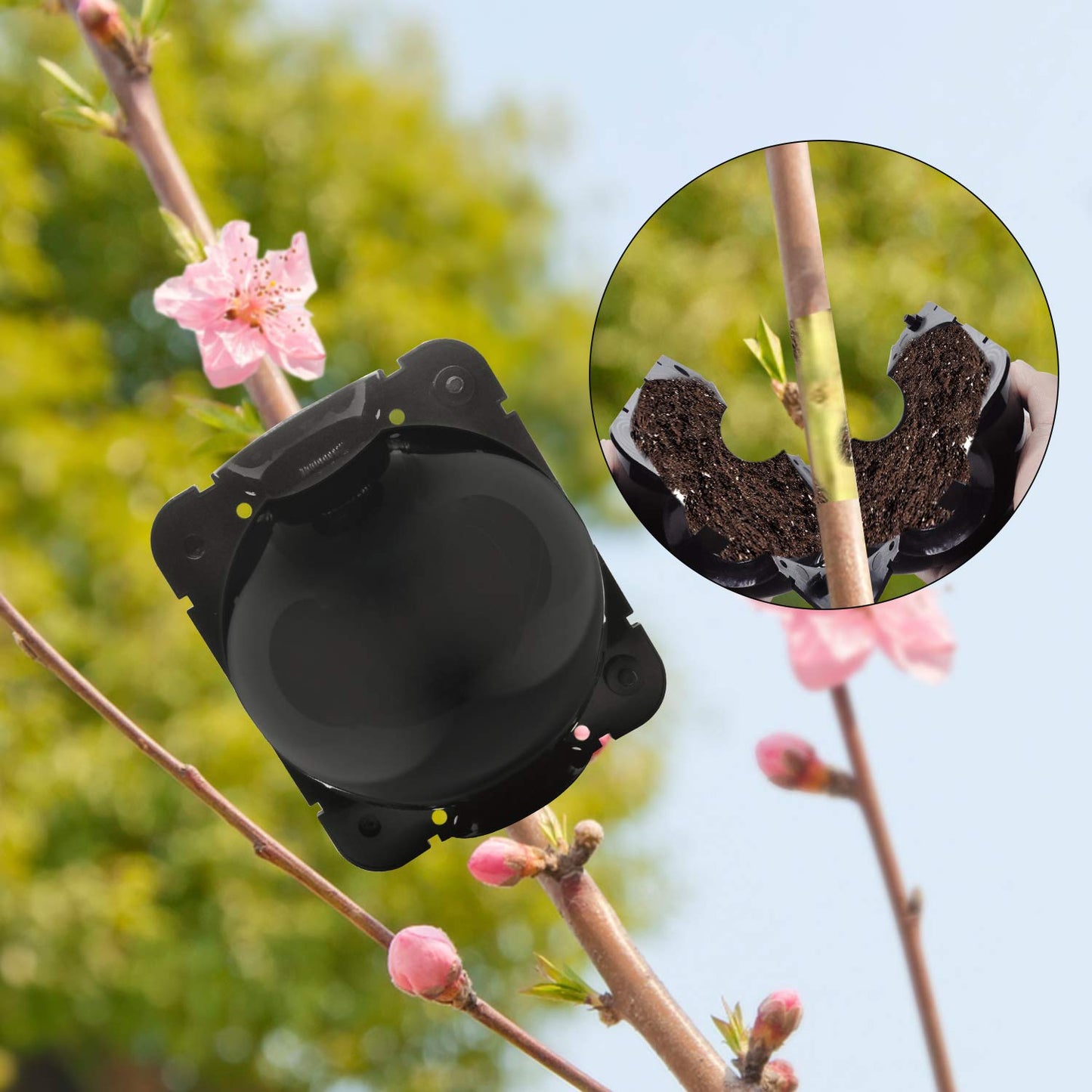 FCENDS 24 PCS Plant Root Growing Boxes Grafting Device, Reusable Plant Rooting Device Ball, High Pressure Propagation Ball Rooter Boxes for Garden (Medium)
