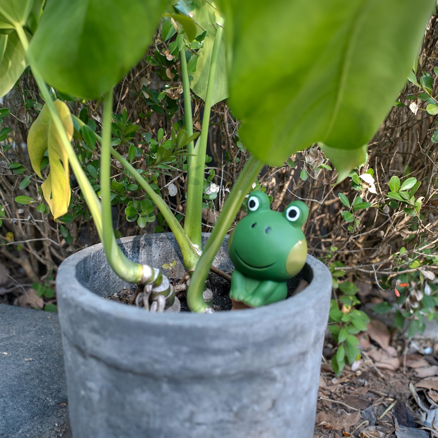 HORTICAN Frog Shaped Self-Watering Spikes - Effortless Plant Care for Your Garden, Cute and Playful Design for Indoor and Outdoor Plants, Vacation-Proof Plant Watering Solution