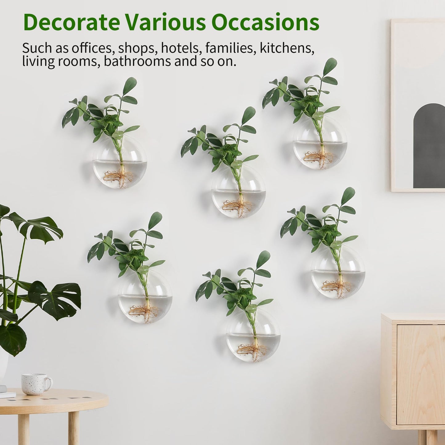 Wall Propagation Planters 6 Pack Glass Wall Planters for Indoor Plants, Wall Plant Holder Plant Propagation Wall Hanging, Glass Flower Vase Indoor Hydroponic Decor