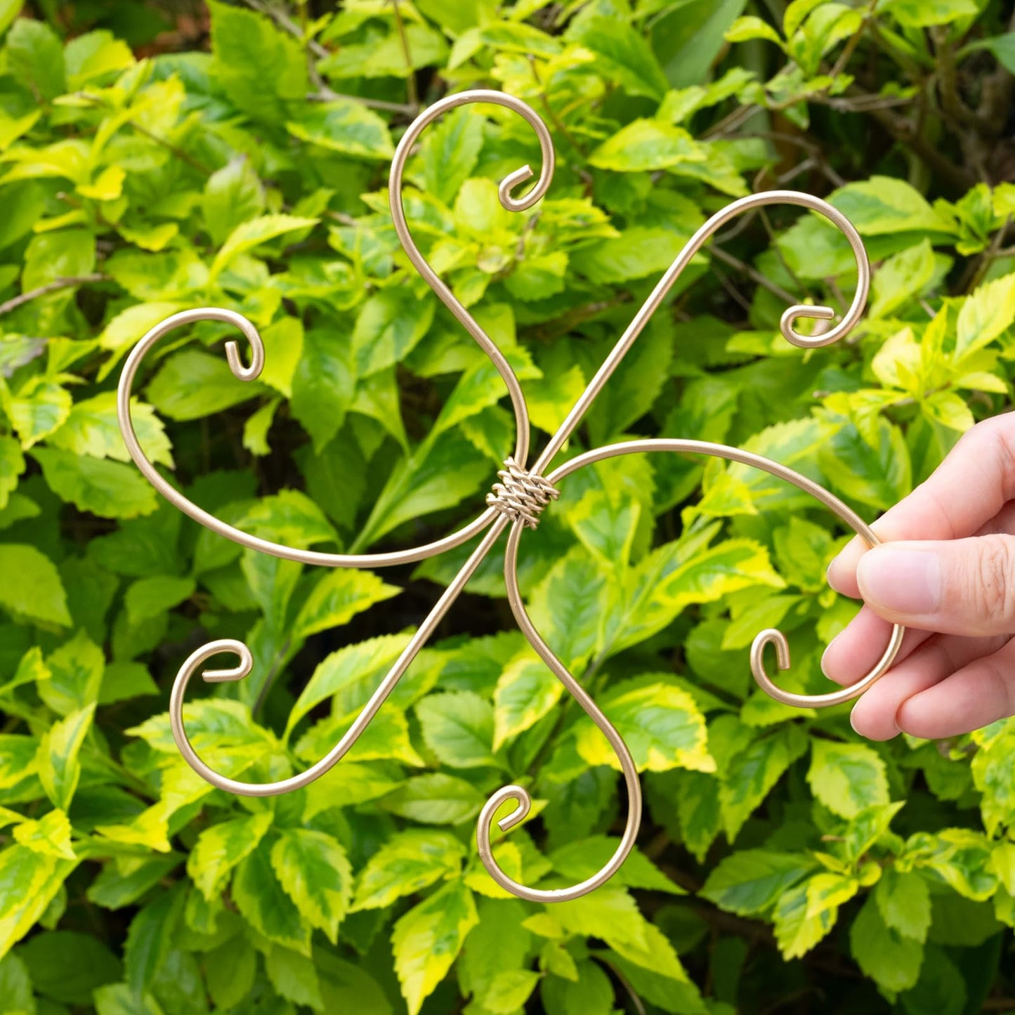 Yohsnor Monstera Plant Stem Support Set of 5 - Durable 7.5in Indoor Stabilizers for Fishbone Cactus - Enhances Growth & Home Decor - Ideal Plant Care Solution