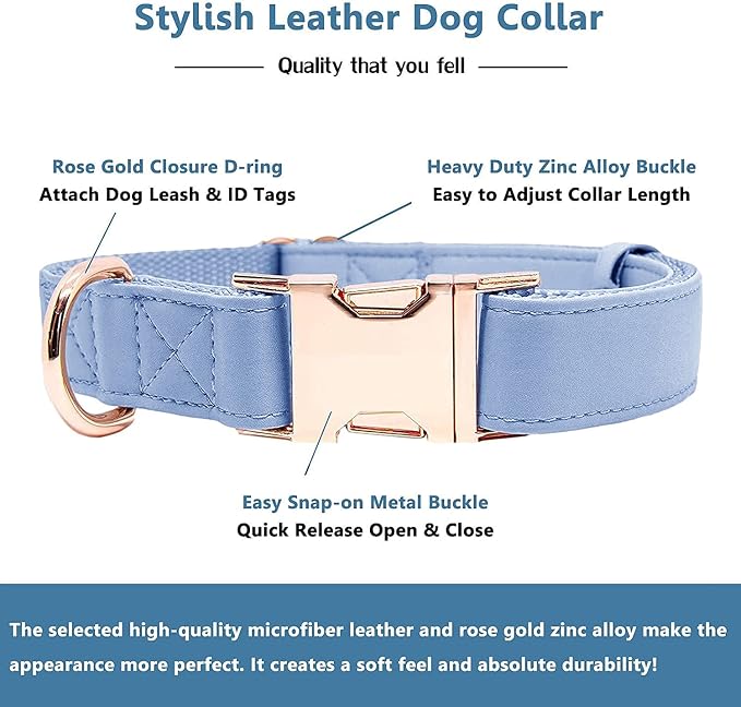 Soft Leather Dog Collar and Leash (6.6') Set - Stylish Rose Gold Heavy Duty Metal Buckle, 4 Adjustable Lengths Leash for Small Medium Large Dogs - Comfortable & Easy to Clean Blue Purple XS(8"-12")