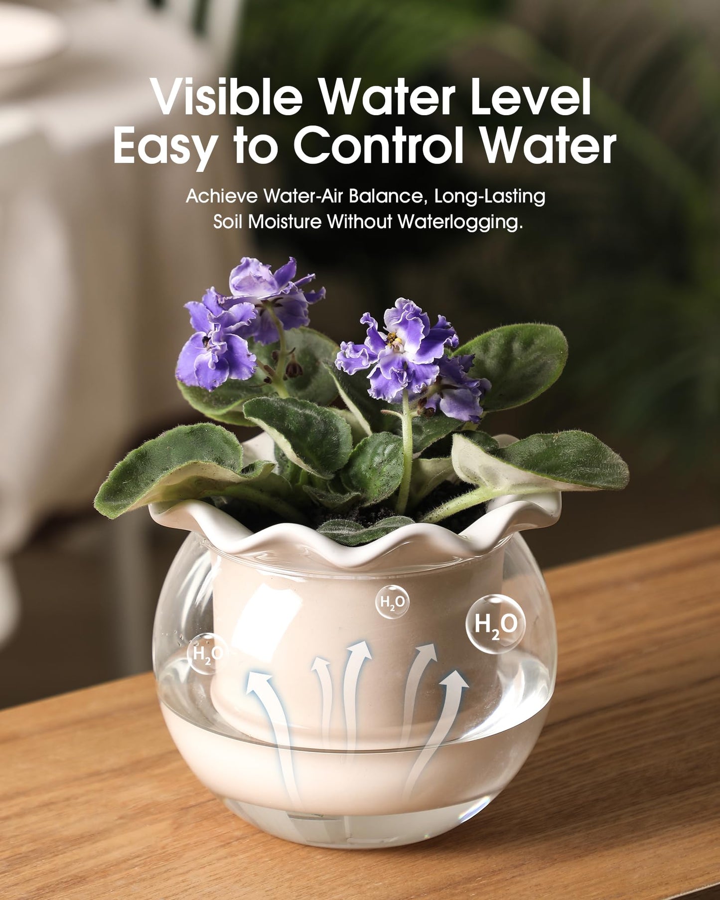 Fayoula 6 Inch African Violet Pots Maintenance, Glass Self-Watering Planter for Indoor Plants - Ideal Flower Pot for Thriving Indoor Gardens, Pots Only (Version 2)