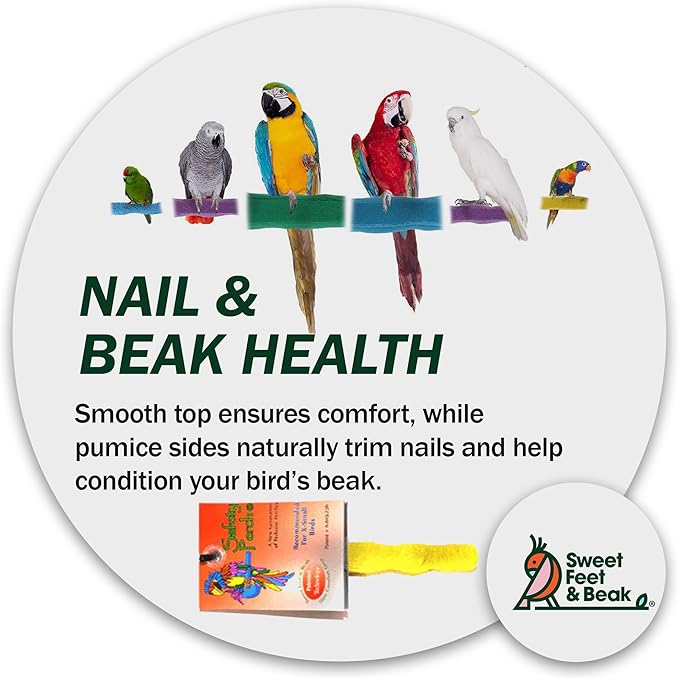 Sweet Feet and Beak Comfort Grip Safety Perch for Bird Cages - Pedicure Perch for Birds to Keep Nails and Beaks in Top Condition - Safe Easy to Install Bird Cage Accessories Small 6.5" - Green