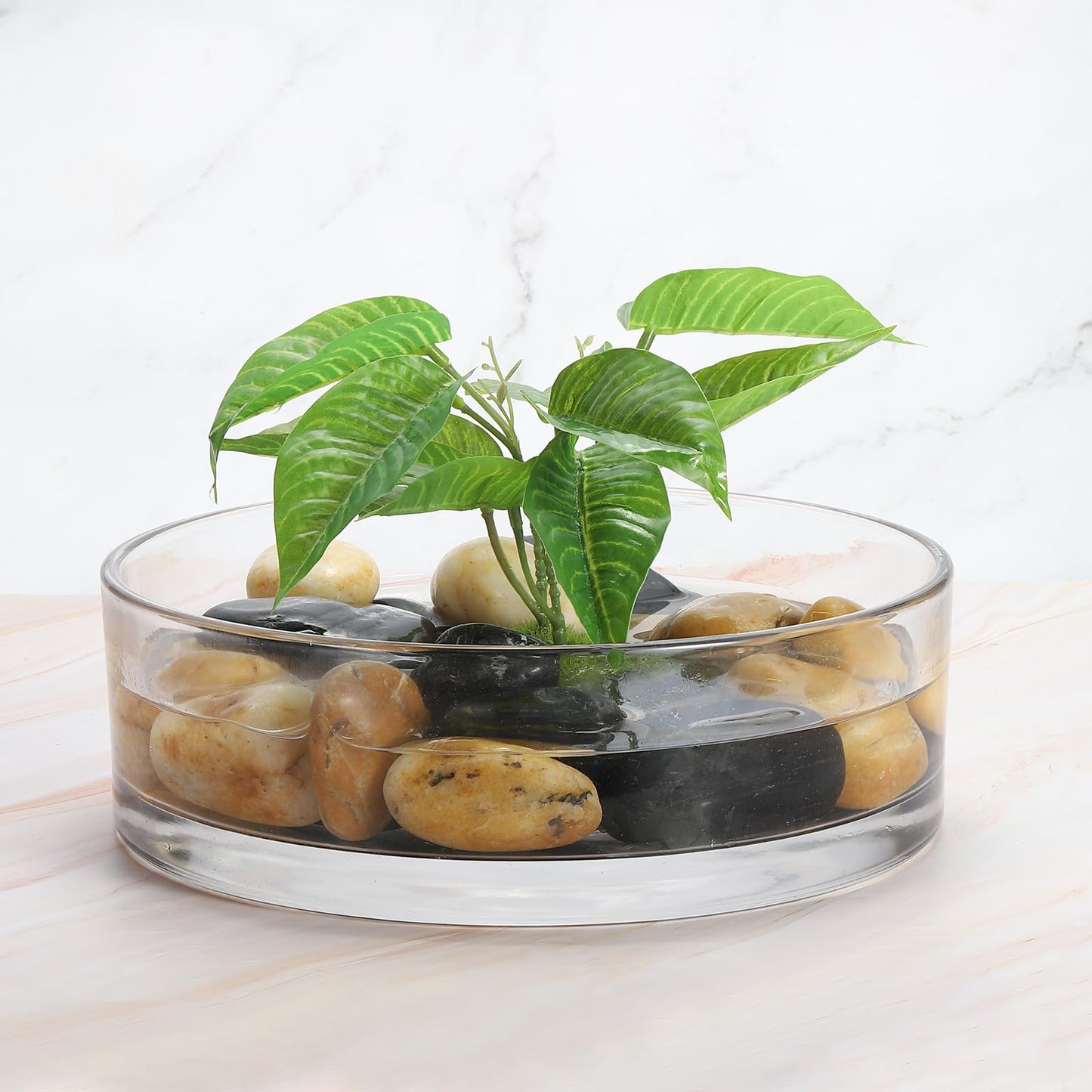 PATIKIL Glass Cylinder Vases 10x3inch, Clear Planter Flower Terrarium Container Thickened Bottom for Decorative Floral Centerpieces Home Office Decor Wedding Party Event