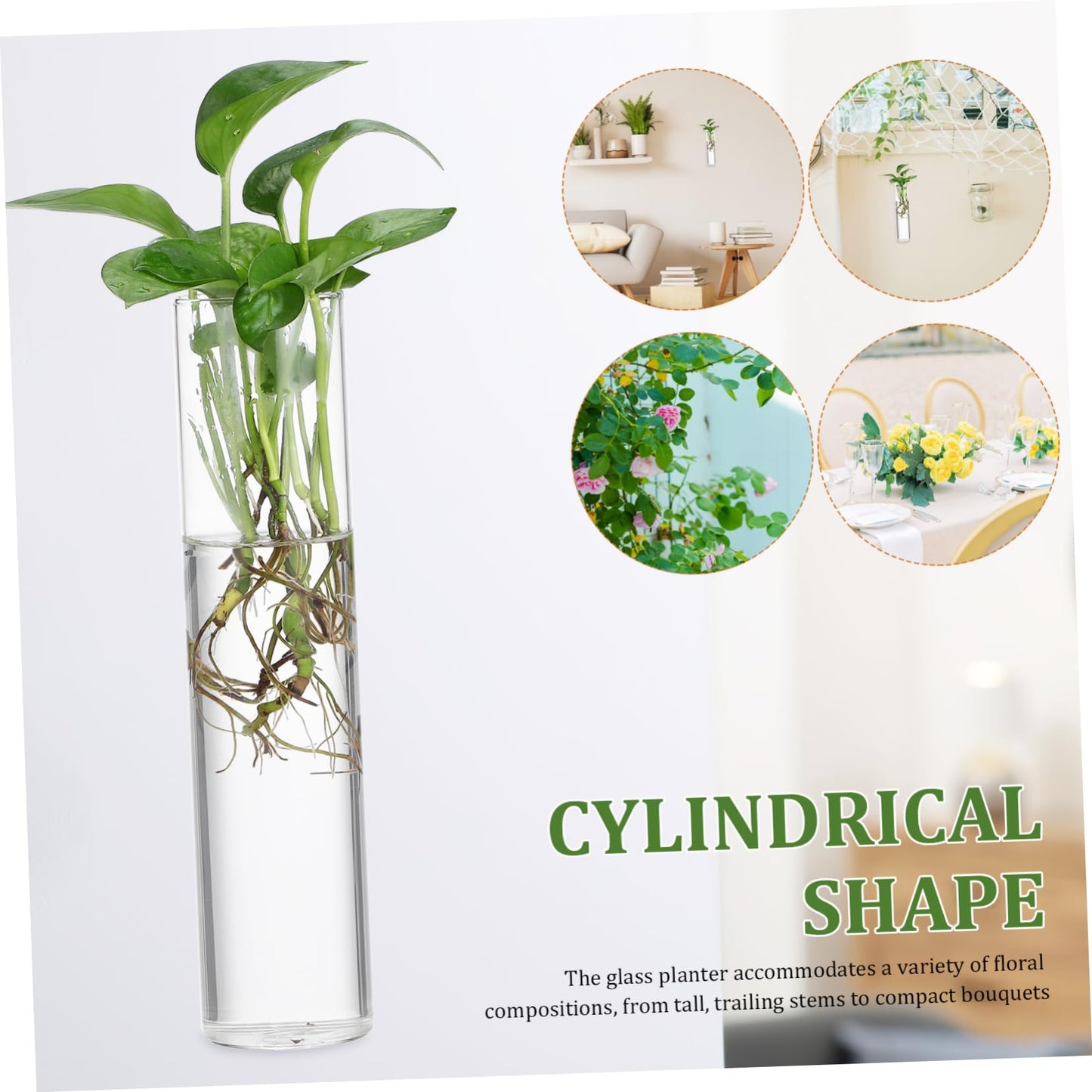 Cabilock 2pcs Cylinder Glass Wall Vase Clear Hanging Planters for Wall Propagation Stations Sleek Transparent Hydroponic Plant Terrariums for Home Decor