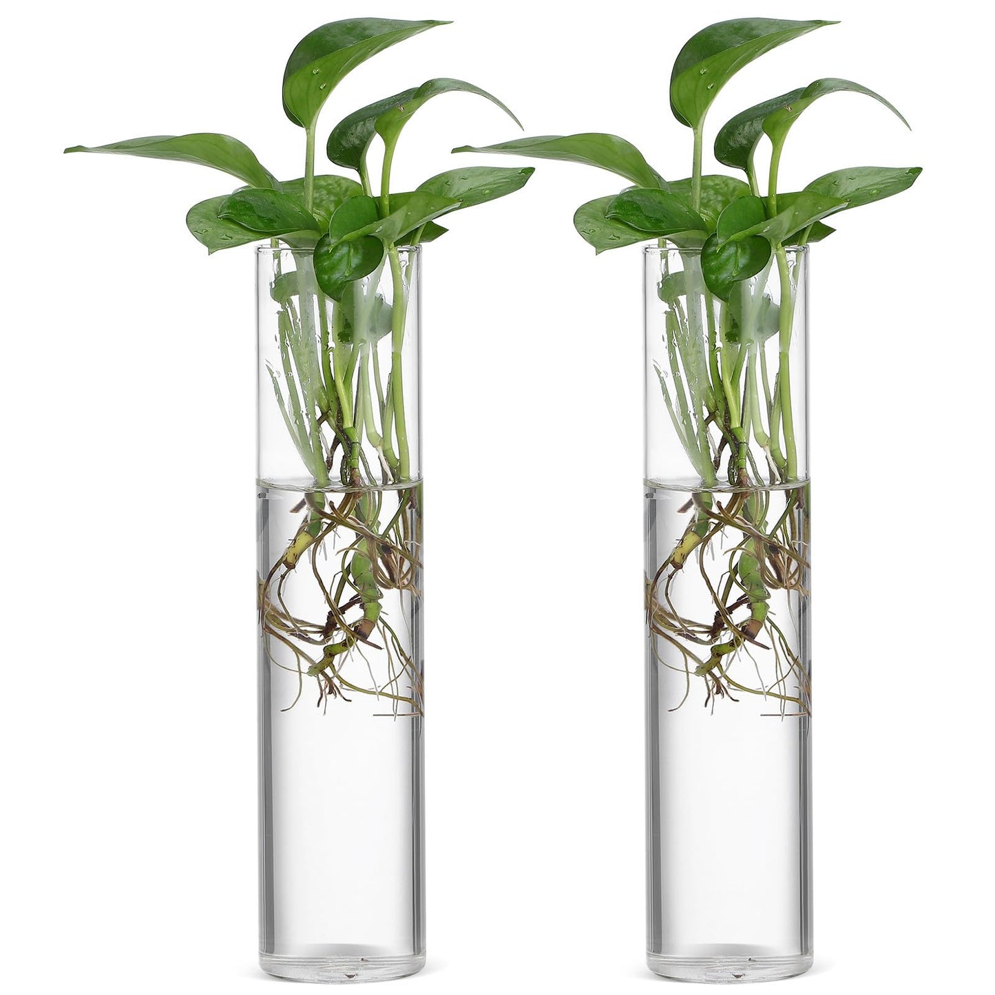 HOLIDYOYO Wall Hanging Glass Cylinder Vases Set of 2, Large Propagation Stations for Hydroponic Plants, Glass Terrariums for Indoor Plant Display and Home Décor