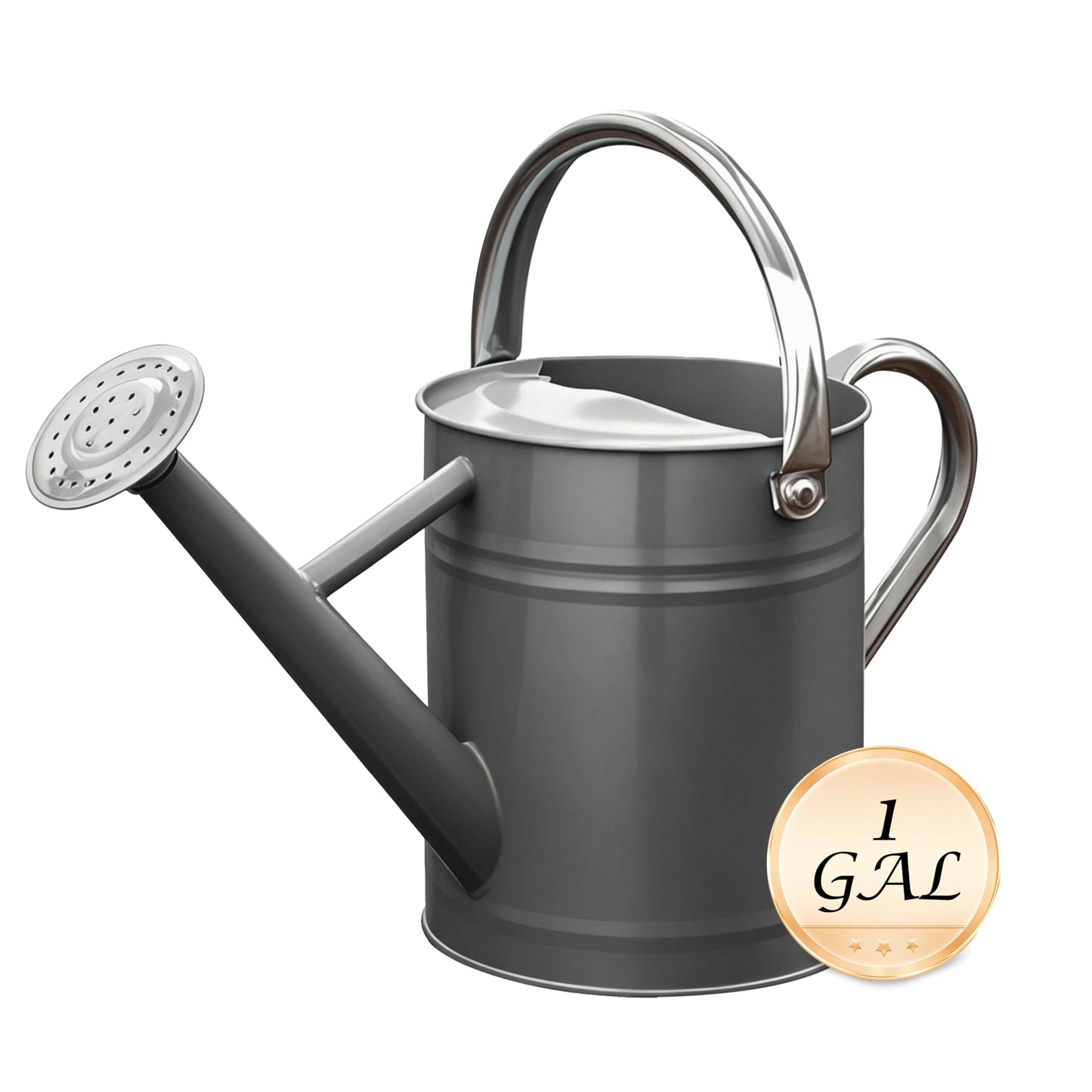 SunnyTong Metal Watering Can for Outdoor and Indoor Plants, Watering Can Decor, 1 Gallon (Gray)