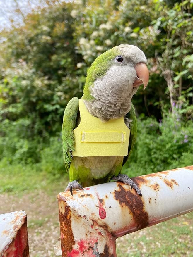 Bird Flight Harness Vest Parrot Flight Suit with Leash for Parakeets Cockatiels Conures Budgies, Bird Flying Clothes with Rope and Handle for Outdoor Activities Training (2M,Yellow)