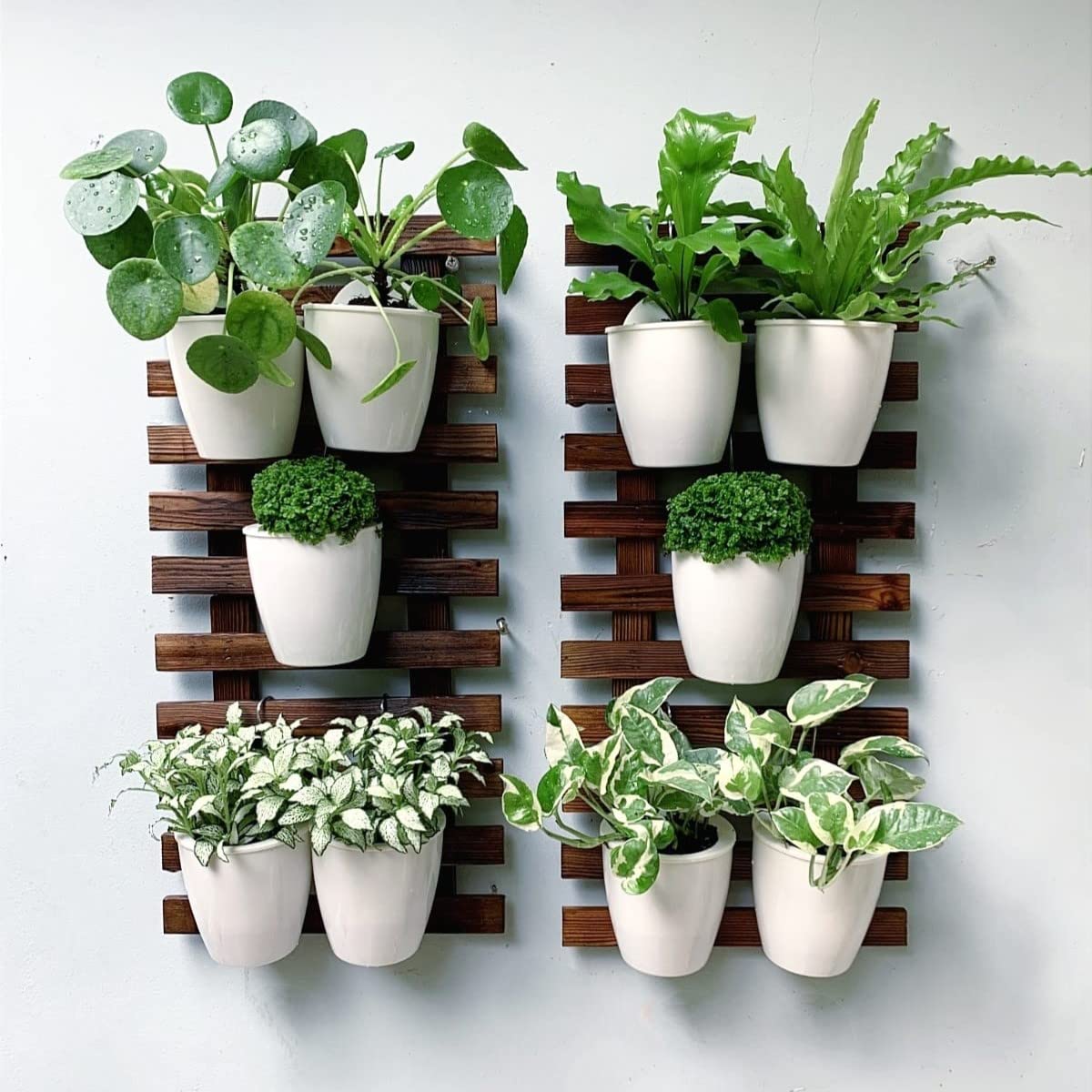 LalaGreen Bundle - 4" x 10 Pack Self Watering Plastic Pot + 4 Pack Wooden Orchid Hanging Planters for Indoor Plants, Wall Mount Plant Stand Ladder, Outdoor Vertical Garden Modern Hydroponic