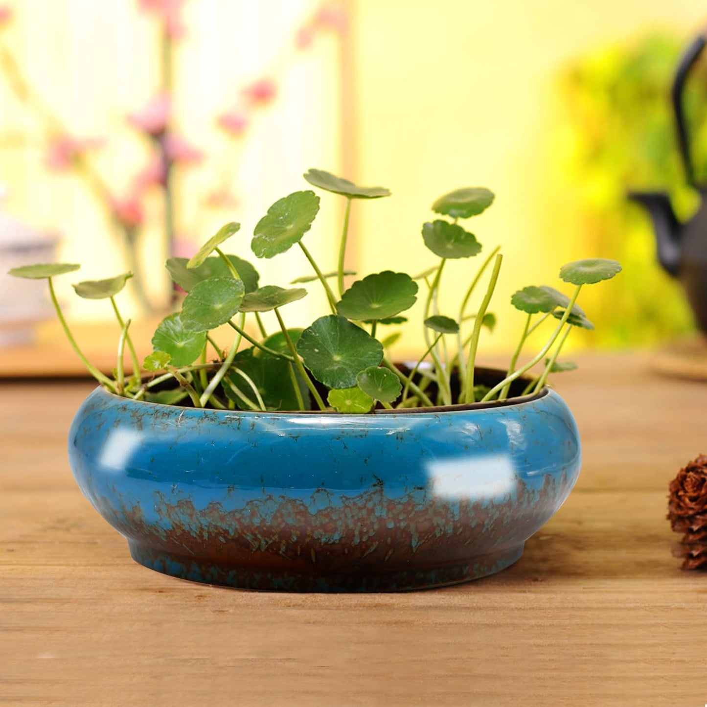 CADUFUELLY 7.3inch * 2.3inch, kiln Transformation Process, Round Ceramic Flower Pot with Drain Hole, Potted Landscape Flower Pot, Garden Decoration Cactus Bracket Flower Container (Blue)