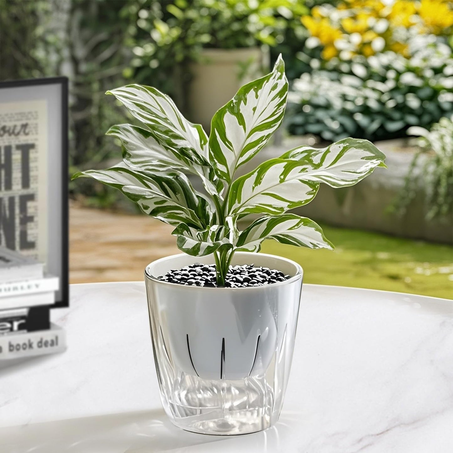 Etvski Self Watering Planters - 2 Pack, 6 Inch Transparent Flower Pots for Indoor Plants, Perfect for African Violet, Monstera, Succulents, Herbs & Decorative Flowers