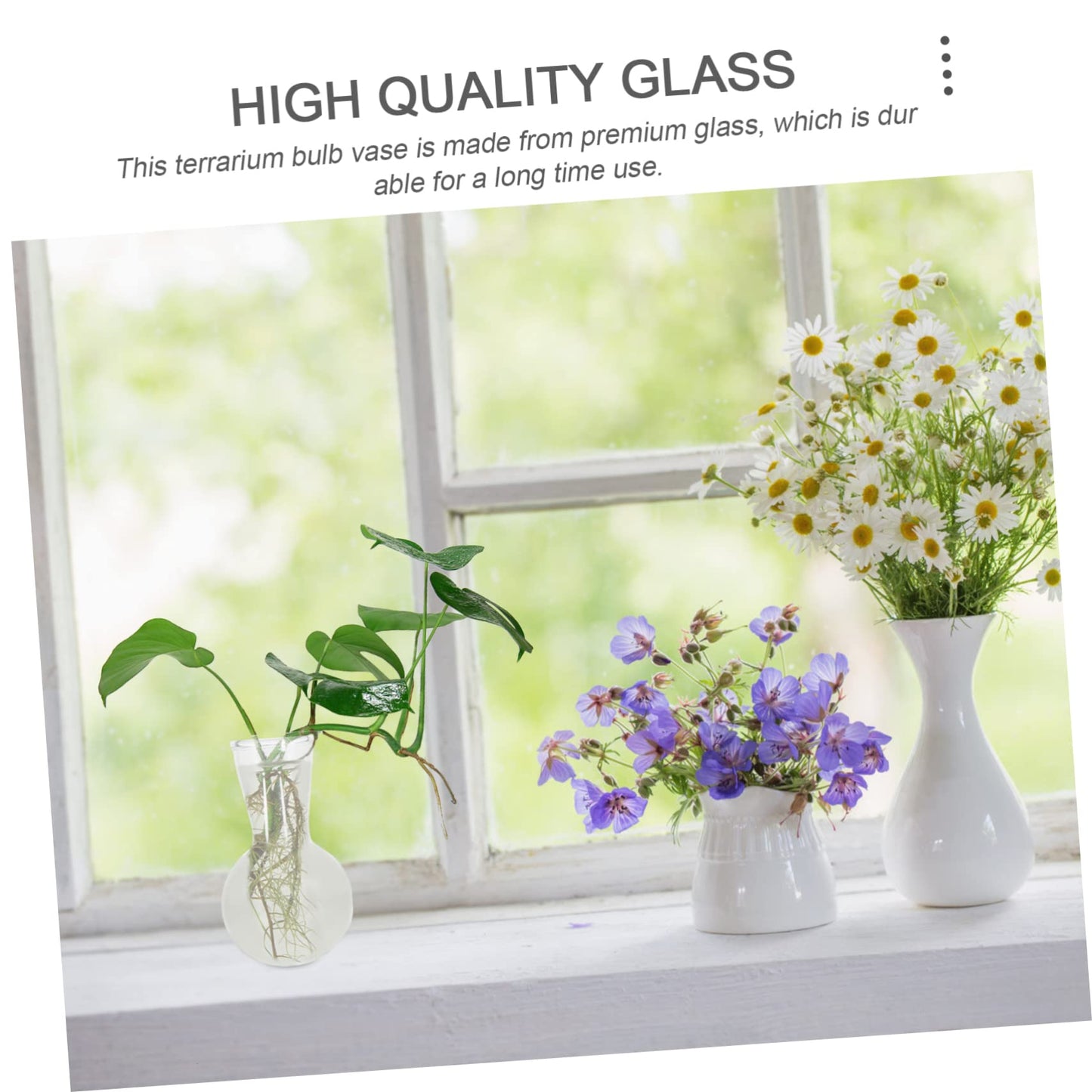 ifundom 2pcs Hydroponic Glass Bulb Vases for Indoor Plants Self-Watering Feature Terrarium Decorative Flower Pots for Home Decor