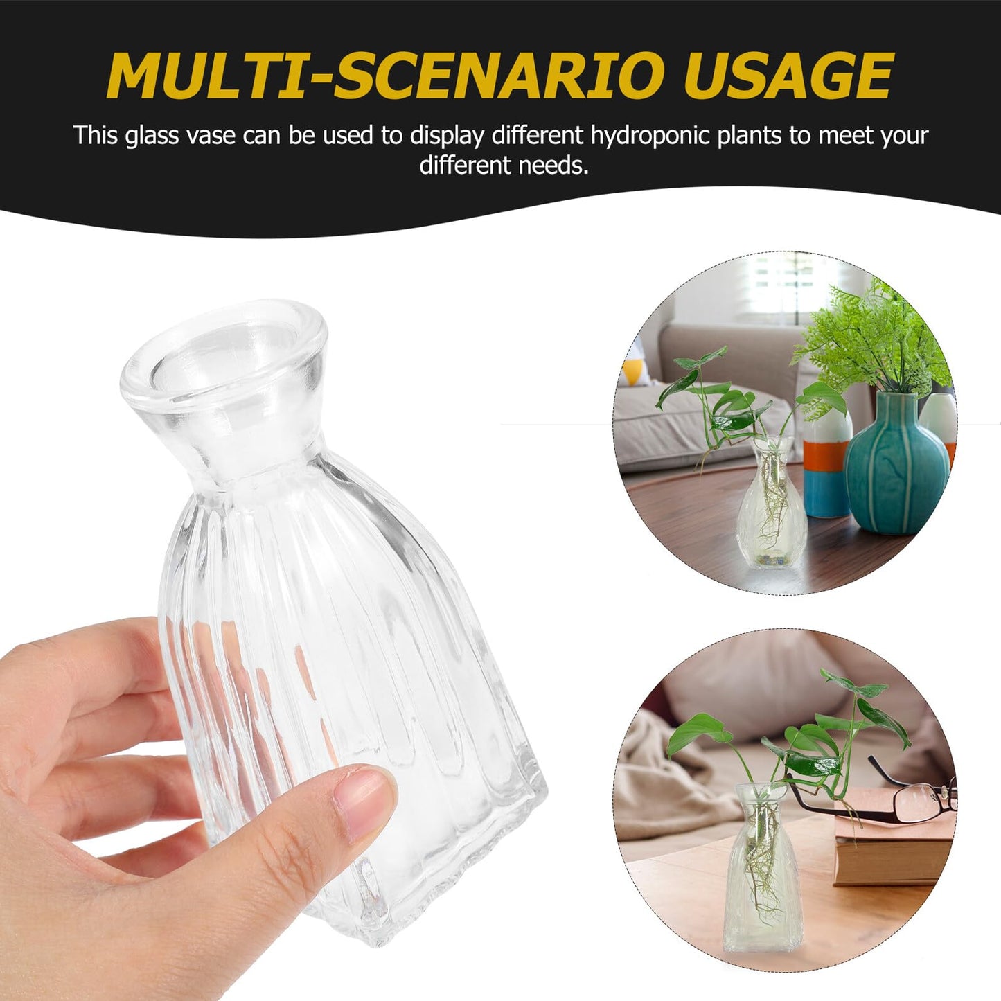 ELEOUTI 4pcs Decorative Glass Vases for Flowers Small Hydroponic Terrarium Vase for Home Décor and Indoor Plant Display