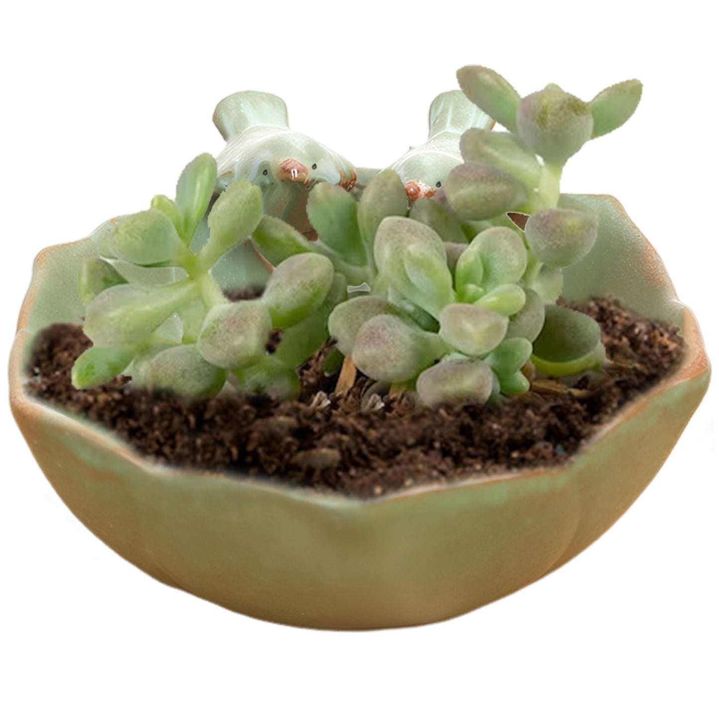 KUYYFDS Suculentas Pot with 2 Adorable Birds Planter DIY Flower Planting Garden Pots Ceramic Round Hollow Planter for Home Indoor Outdoor Garden Decor