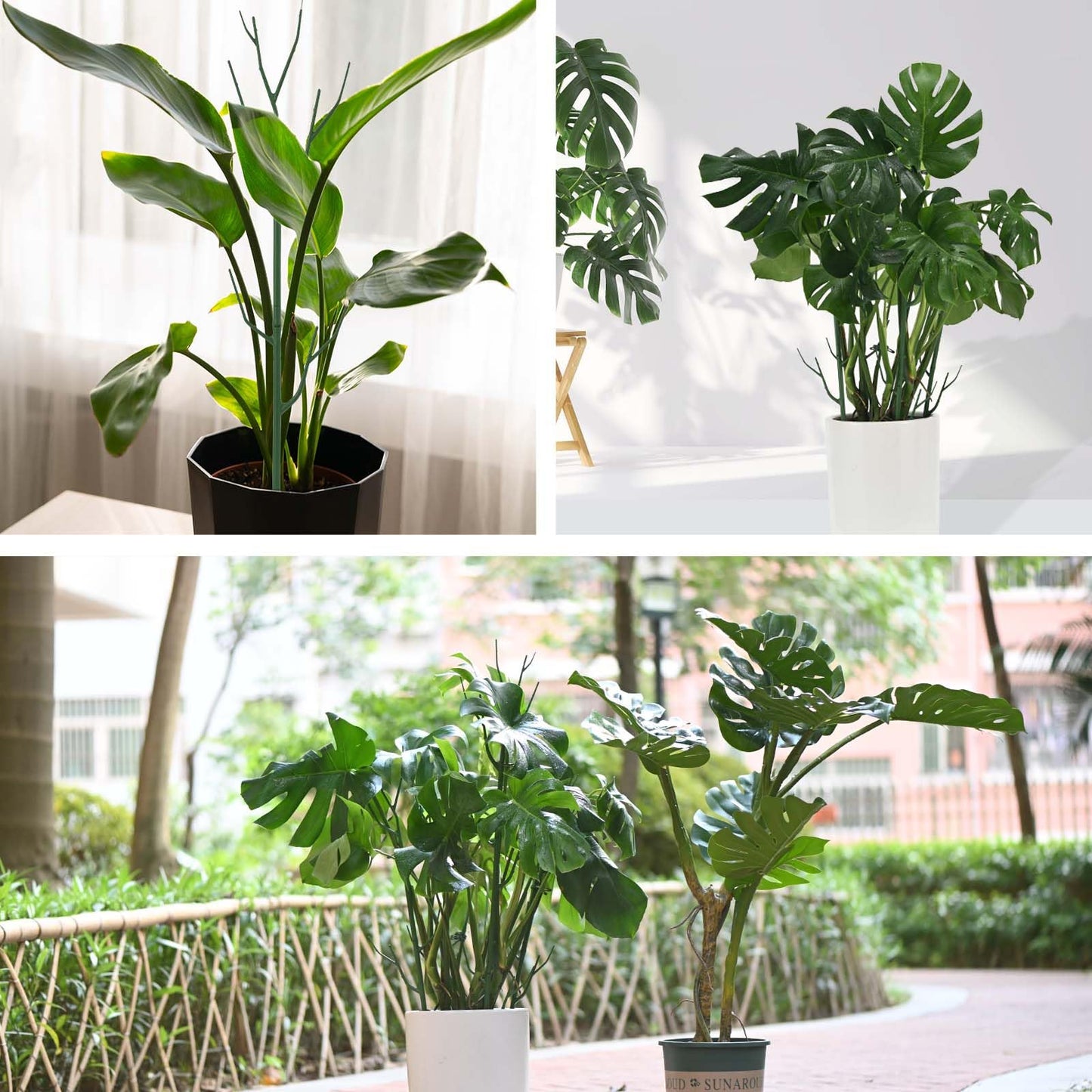 Yhtpouqe 9 Pack Green Plant Support Stakes Plant Stakes for Indoor and Outdoor Plants. 39.37inch Plant Sticks with Extension Poles, Plant Clips,Plant Ties for Potted Monstera Plants, Climbing Plants