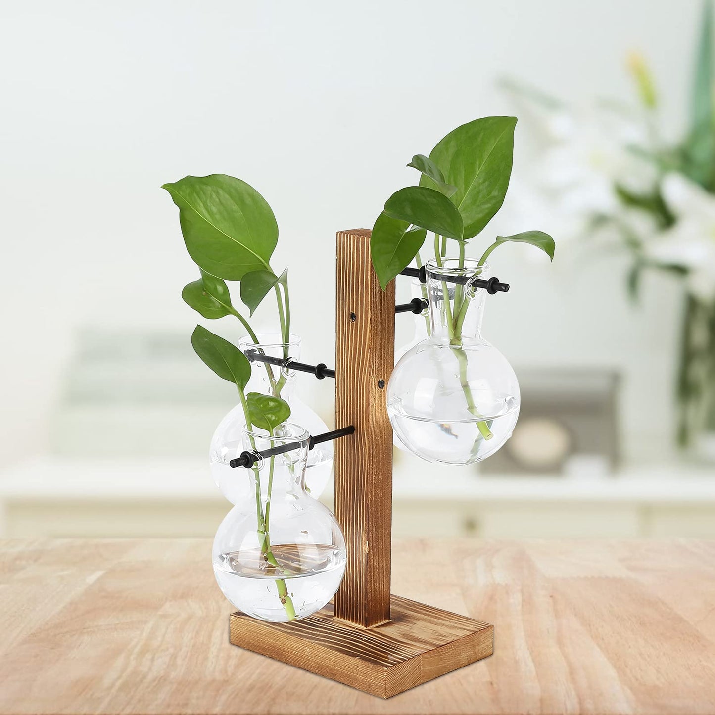 Glass Planter Bulb Vase, Innovative Hydroponic Vase Desktop Plant Terrarium Kit with Wooden Stand Transparent Desktop Flower Vase for Home