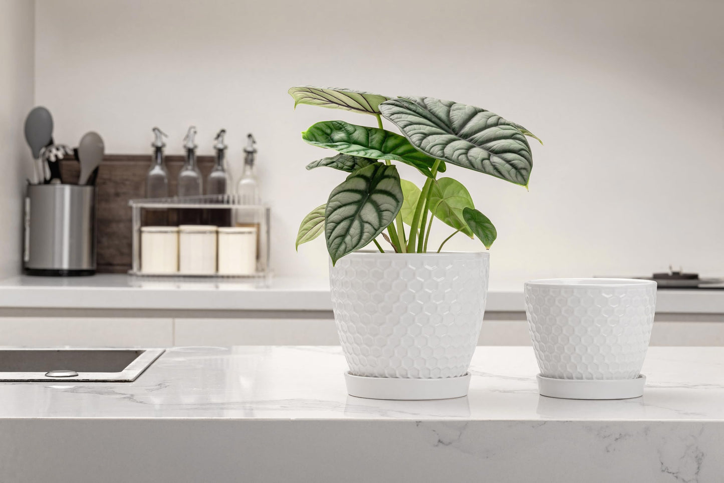 Docrin Ceramic Plant Pots Set of 2 (6.6"+5.5"), High-Fired Clay Indoor Planters with Drainage Holes & Saucer, Honeycomb Modern Home Decor for All House Plants