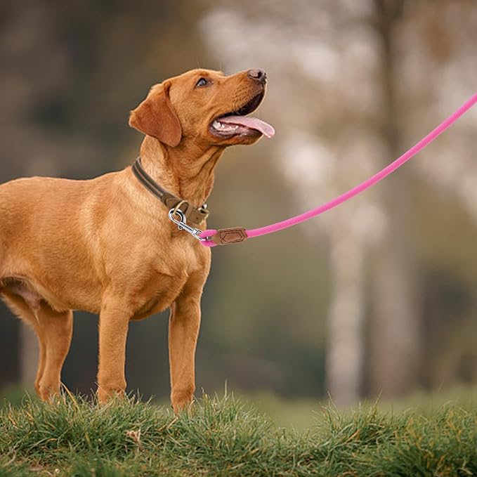 Mile High Life Leather Dog Leash, Heavy Duty Strong Genuine Leather Handle Rope Leash Soft and Comfortable for Small Medium Large Dogs (Hot Pink, 60 Inch)