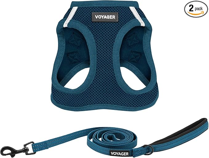 Best Pet Supplies Voyager Step-in Air All Weather Mesh Harness and Reflective Dog 5ft Leash Combo with Neoprene Handle, for Small, Medium and Large Breed Puppies - Blue, Small