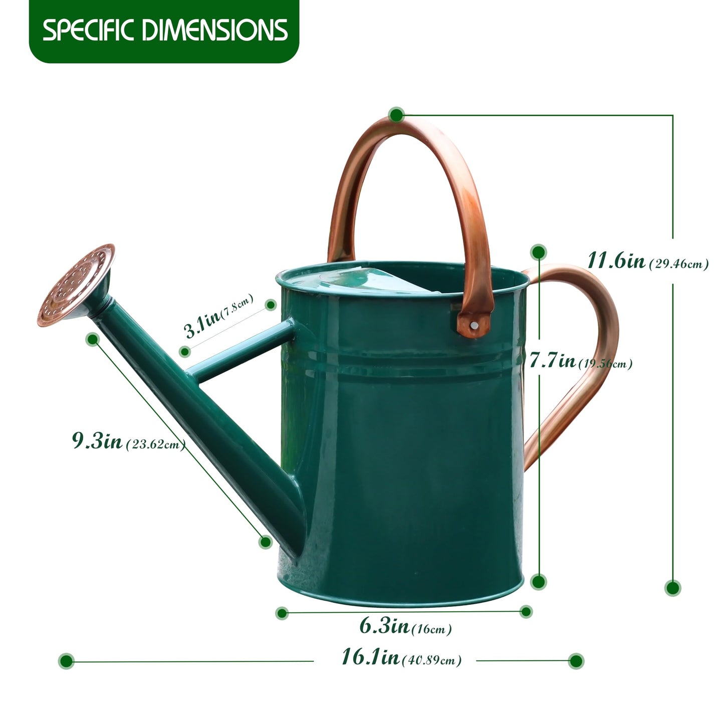 SunnyTong Metal Watering Can for Outdoor and Indoor Plants, Watering Can Decor, 1 Gallon (NewGreen)