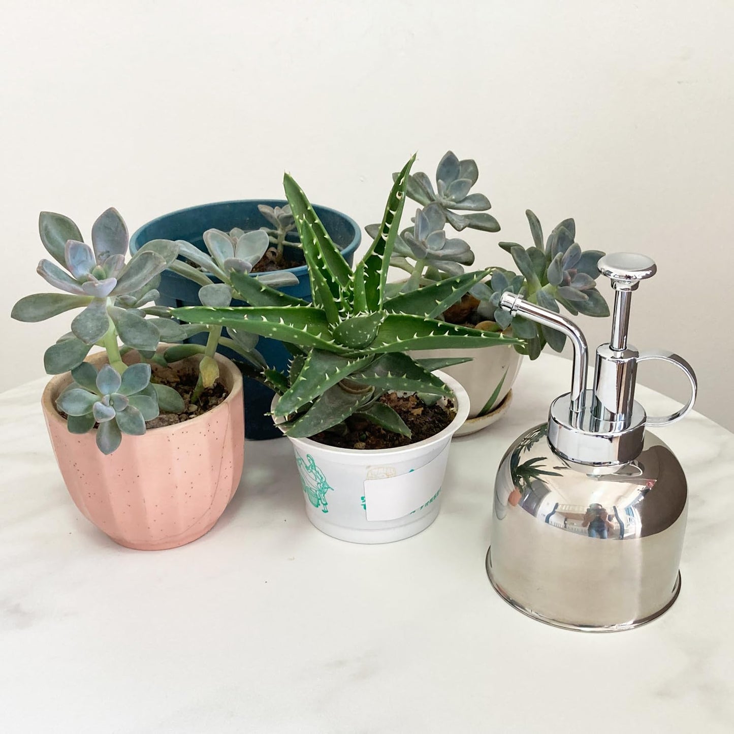 Lianshi Stainless Steel Plant Sprayer, Small Watering Can for Indoor Potted Plants