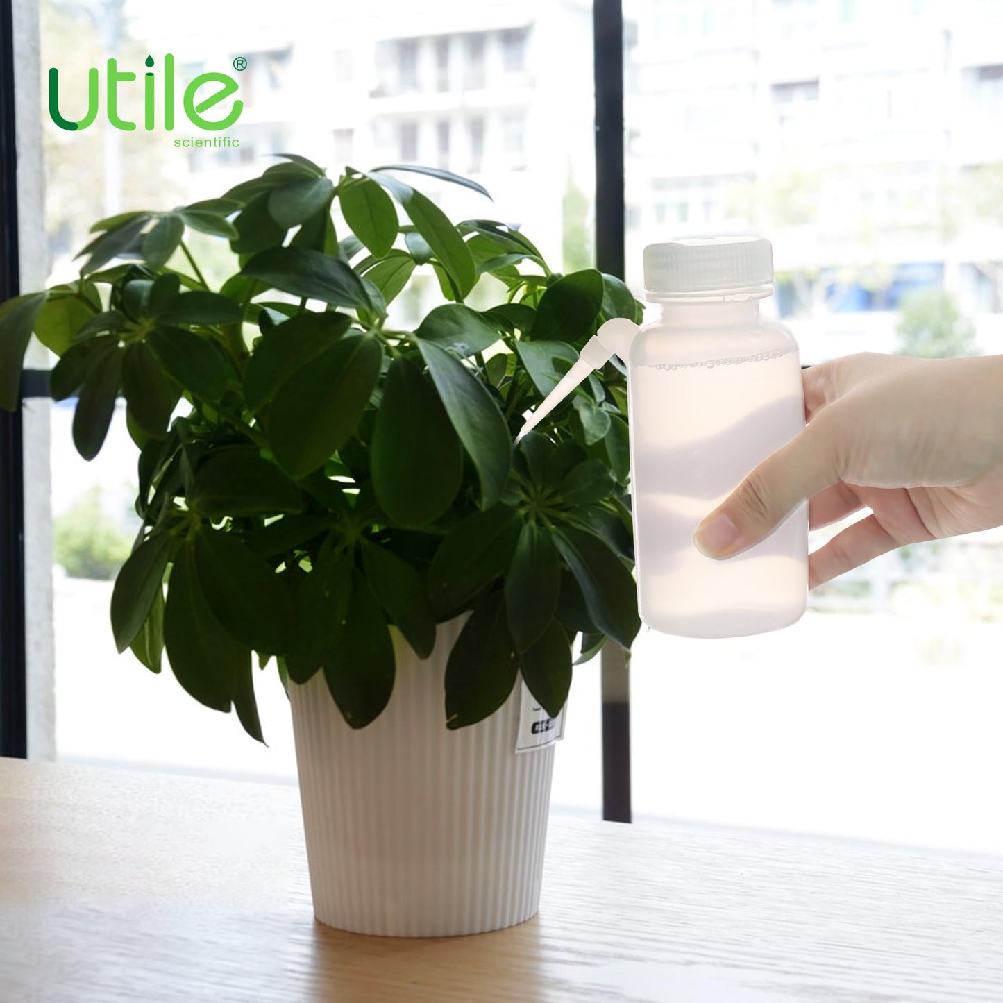 Utile 6 Pcs Wide Mouth One-piece Wash Bottle with Integrally Molded Bottle, 6pcs of Vol.250ml Wash Bottle, LDPE Material, 5511.6252.6