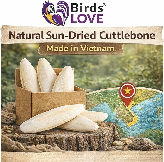 Birds LOVE 7.5-8" Cuttlebone for Birds – 100% Natural Sun-Dried Calcium Carbonate Mineral Supplement – for Parakeets, Budgies, Cockatiels, Finches & Canaries – 2 Pack with Holder – Made in Vietnam