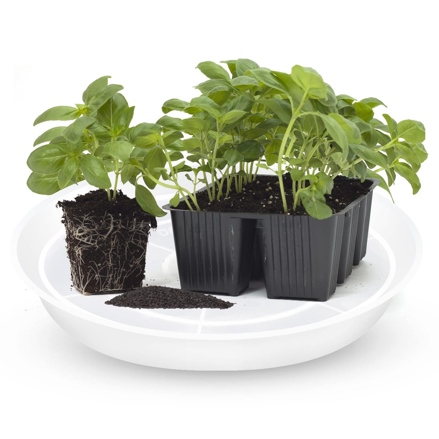 OUPSAUI 6 8 10 Inch Plant Saucer Pot Tray, 6 Pack Clear Plant Saucers for Indoors and Outdoors, Large Plastic Dish Suacer Water Drip Tray for Potted Plants Flowers (6 8 10 Inches)