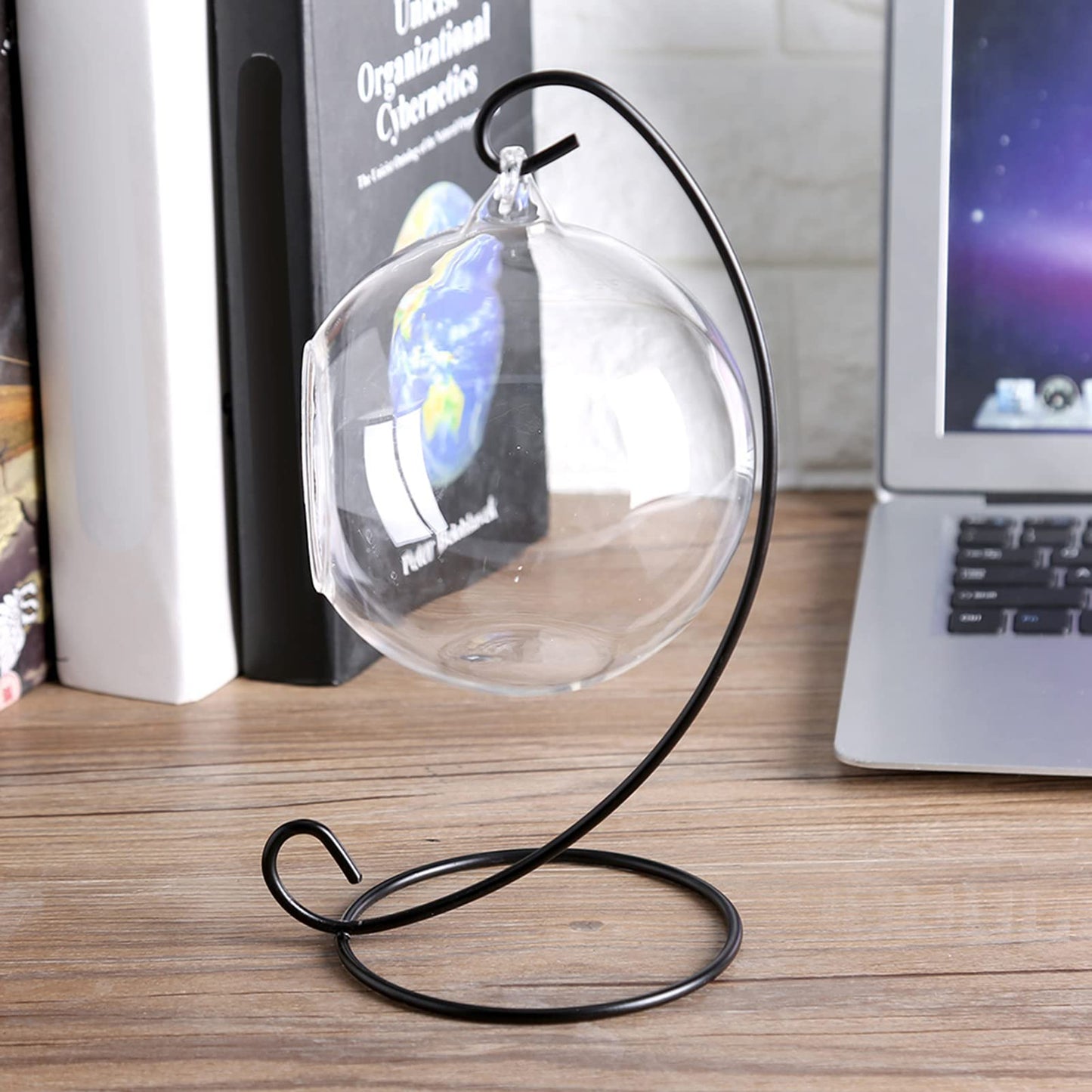 Vistreck Elegant Hanging Glass Vase Terrarium with Iron Frame for Air Plants and Succulents