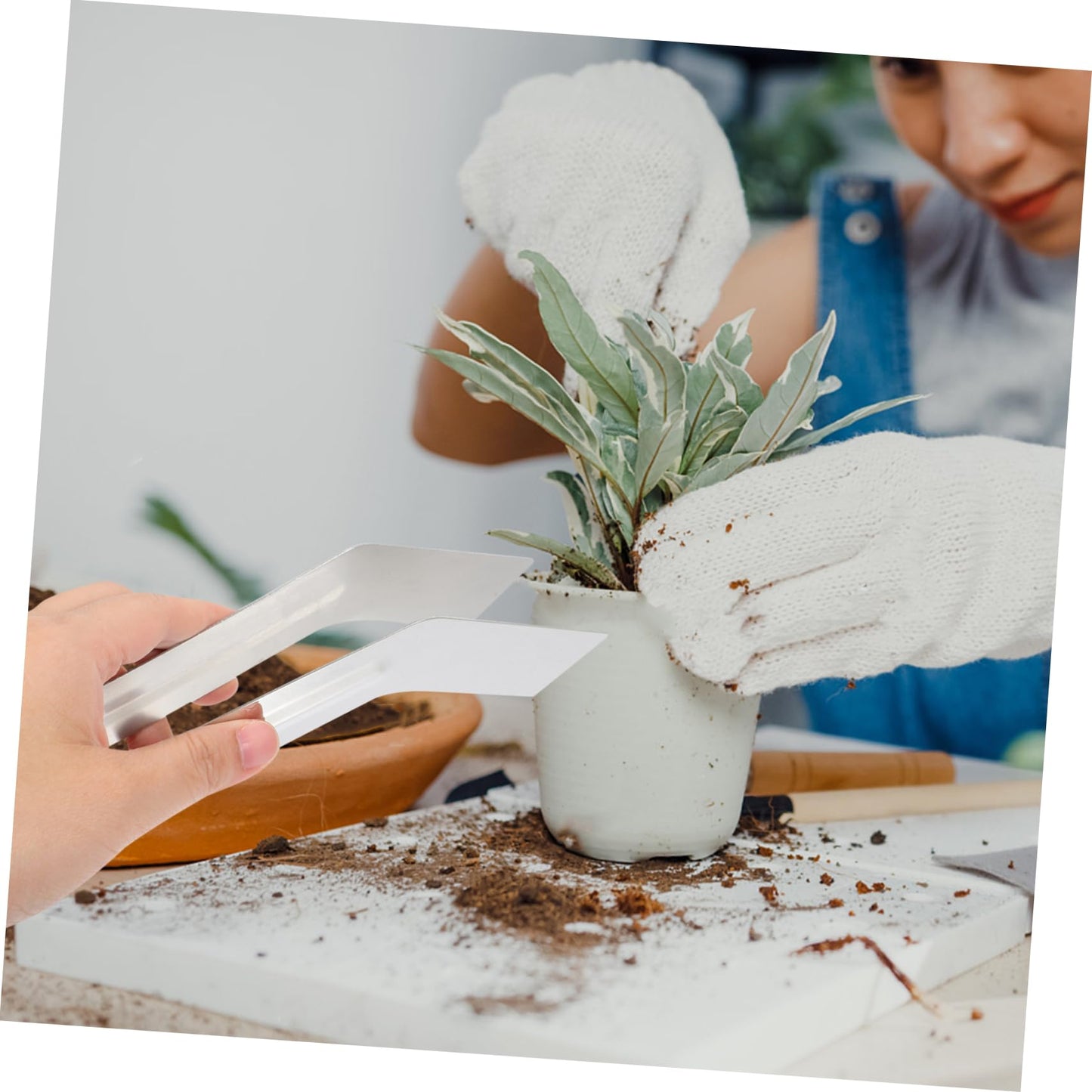 MOBUTOFU Convenient Transplanting Tongs for Gardening Stainless Steel Seedling Transplanting Tool Practical Plants Remove Tong for Skill Levels