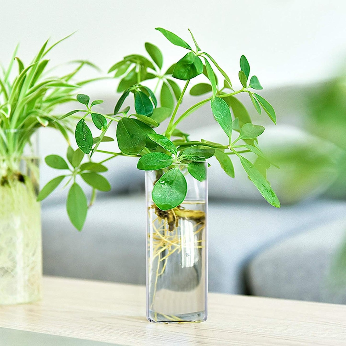 Fasmov 6 Pack Wall Hanging Glass Planters, Terrarium Holders for Air Plants, Succulents, Flowers - Square, Clear Vase Containers for Plant Display and Decoration