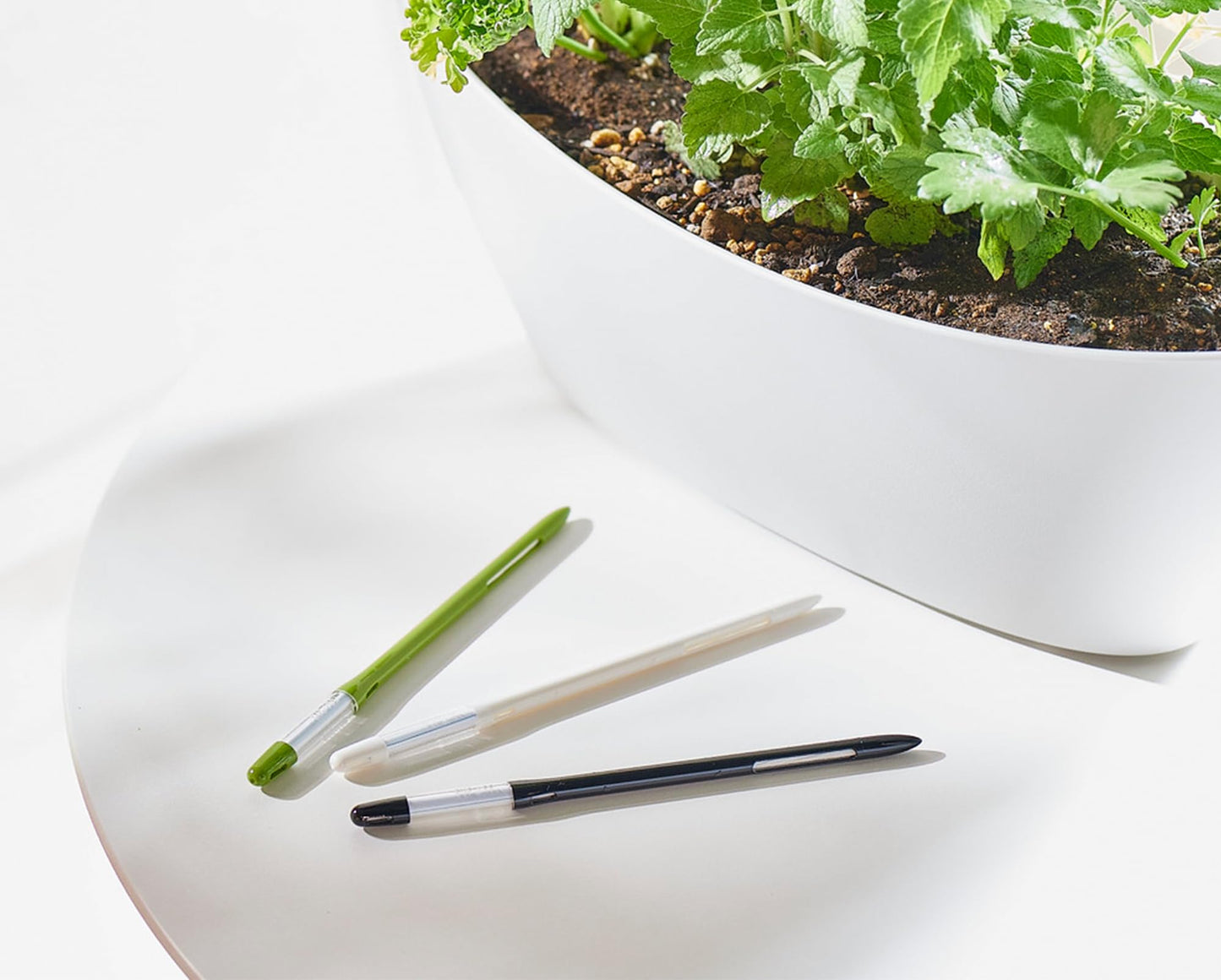 Sustee Aquameter - Large - Black - Bundle of 2 - Leave-in Soil Moisture Meter for Potted Plants - Plant Water Sensor - Refillable