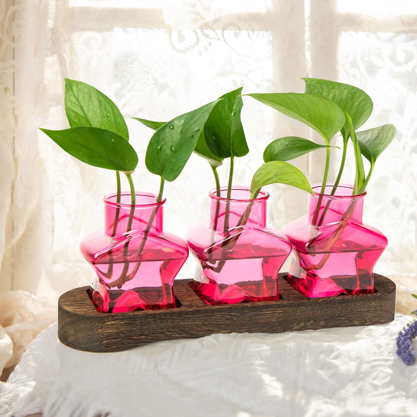 XXXFLOWER Plant Propagation Station with Wooden Stand，Air Plant Terrarium Starter Kits Star Vases for Flowers Plant Cutting Rooting Pots Indoor Hydroponic Glass Planter for Plant Lovers,3 Jars(Pink)