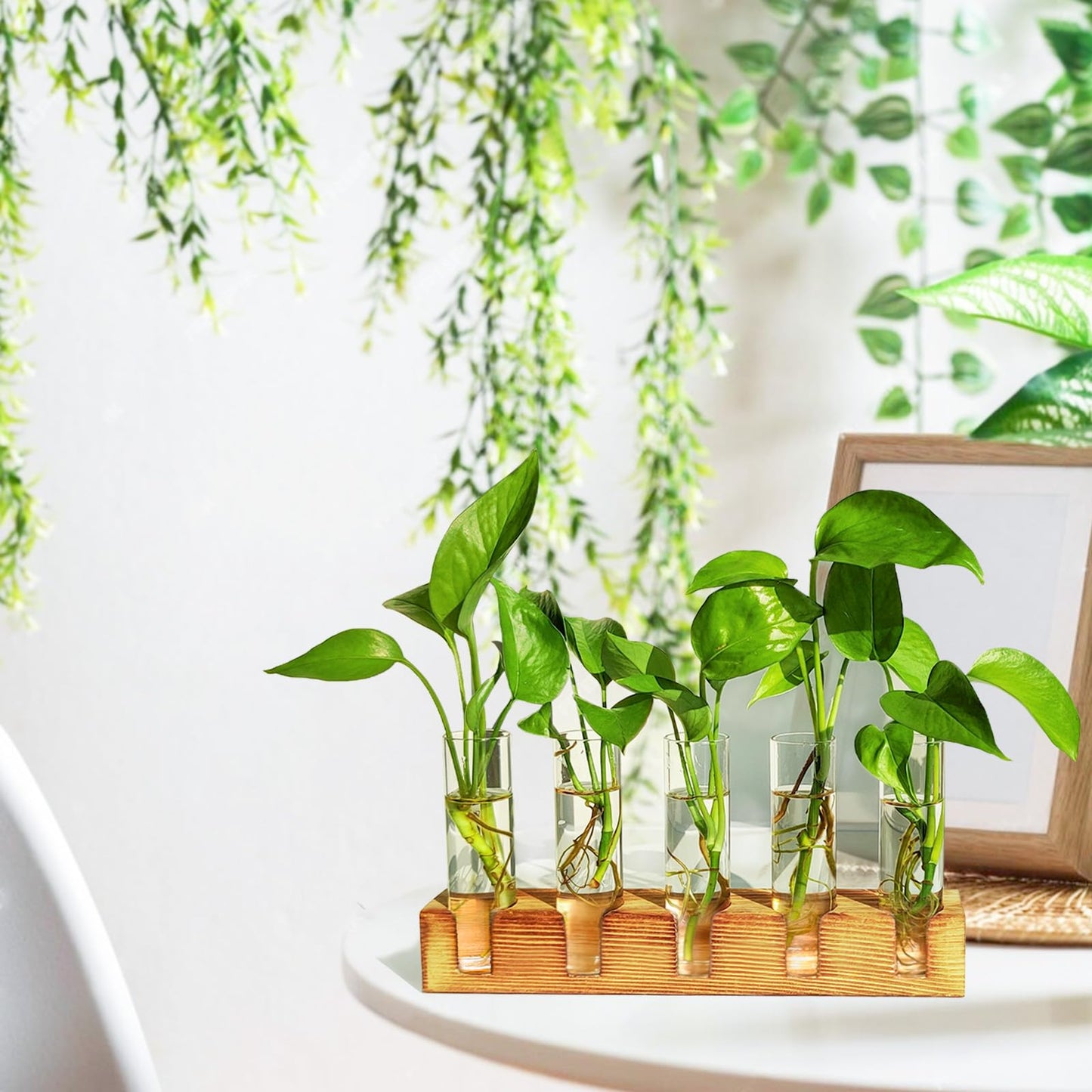 Renmxj Plant Propagation Station, Plant Terrarium with Wooden Stand for Hydroponics Plants Office Decor Unique Gardening Gifts for Women Plants Lovers - 10 Glass Test Tube Vases