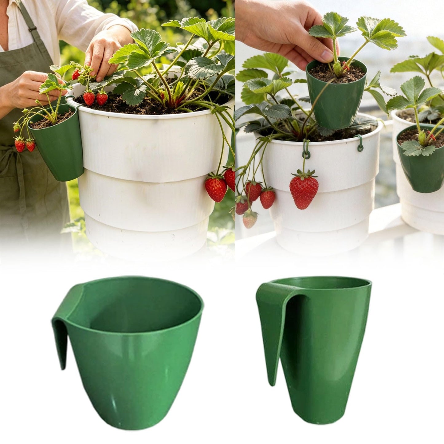 Propagation Cups 2-in-1 Wall Hanging Rooting Cup Kit, 10 Pcs Strawberry Propagation Cups for Easy Plant Propagation, Space Saving for Garden Balcony Greenhouse Use (3.5 in)
