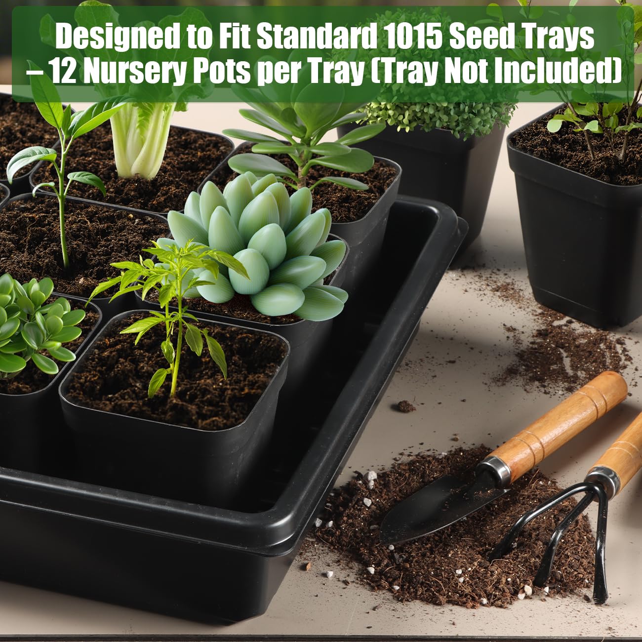 RooTrimmer 100 Pack Plant Nursery Pots 3.15 Inch, Durable Square Seedling Pots with Drainage Holes, Reusable Small Plastic Flower Pots for Seed Starting, Transplanting, Herb Garden