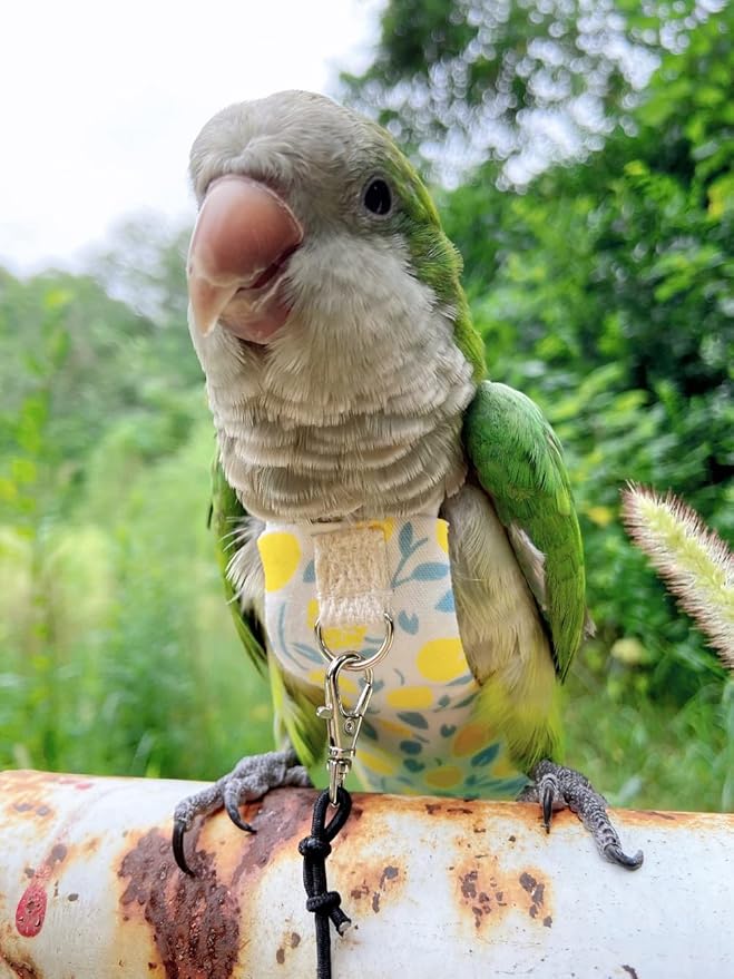 Bird Diaper Harness Flight Suit Clothes, Parrot Flight Suit with Leash, Bird Flying Clothes with Rope and Handle for Outdoor Activities Training (Yellow with Leash,Small)