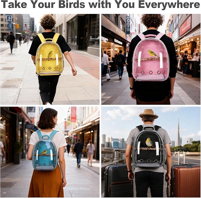 Bird Carrier Backpack with Wood Perch, Transparent Bird Travel Cage, Portable Pet Carrier Backpack, Breathable Hangbag for Vet Transport Camping Hiking (Black)