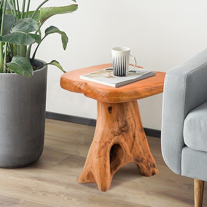 Small Side Table, Unique Design Live Edge Wood Stool, Freeform Natural Plant