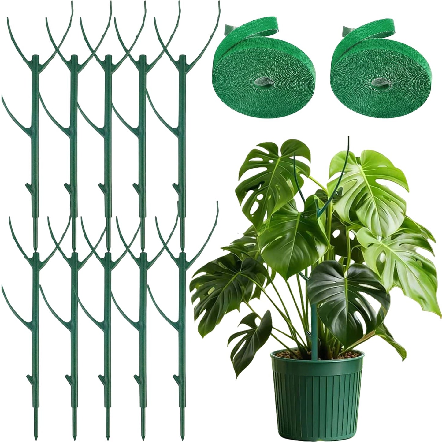10 Pack Stackable Monstera Plant Support Stakes for Indoor & Outdoor Plants,Plant Support Structures for Climbing and Potted Plants,Plant Sticks for Vine Training & Stem Stabilization