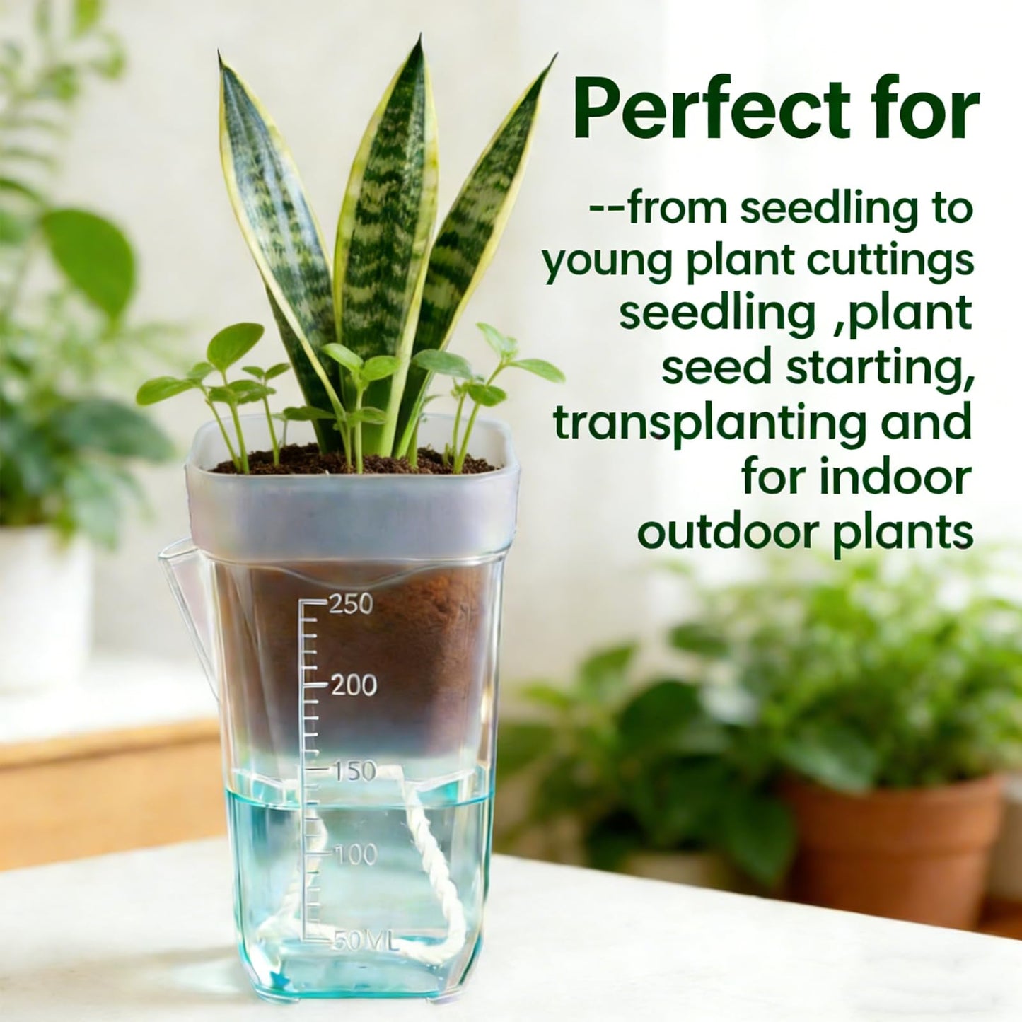 Niiiice 16 Pack 2.5" Mini Clear Self Watering Plant Pots, Plastic Planters with Bottom Water Tray & Watering Rope, Nursery Planting Pot for Indoor Out Door Plants