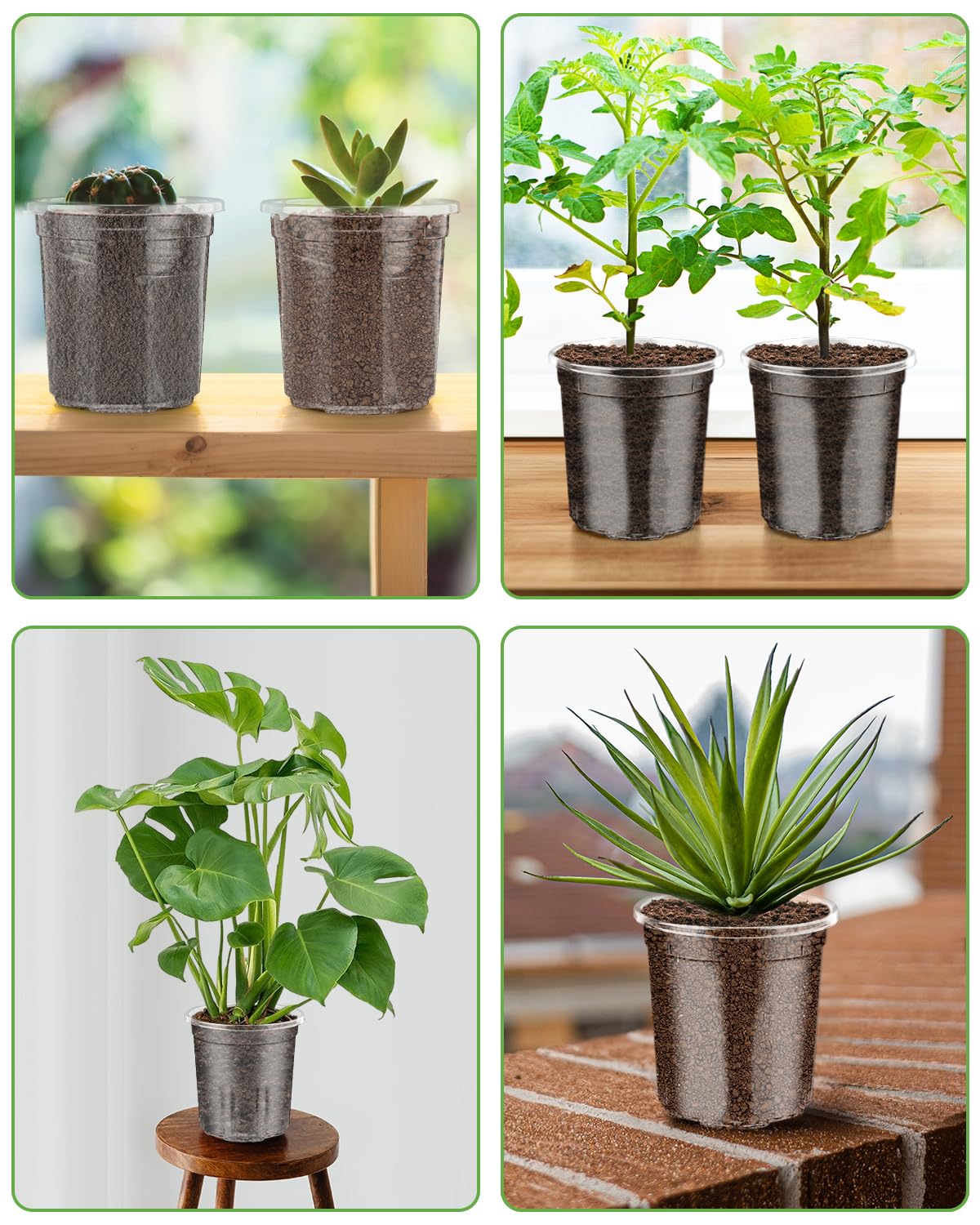 PACETAP 40Pack 6.5/5/4/3.5 Inch Reinforced Clear Nursery Pots with Drainage Holes, Variety Pack Thickened Plastic Plant Pots with 20 Plant Labels for Indoor Outdoor Flower Seed Starter