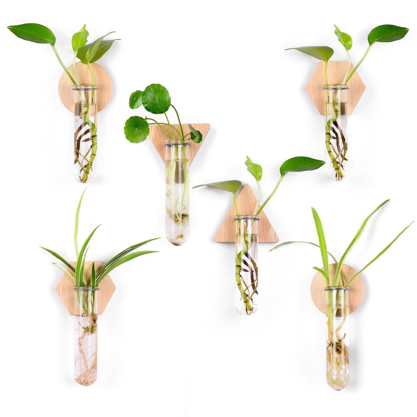 MITIME Wall Hanging Planter Glass Plant Propagation Station,Geometric Wooden Stand for Home Office Decoration.