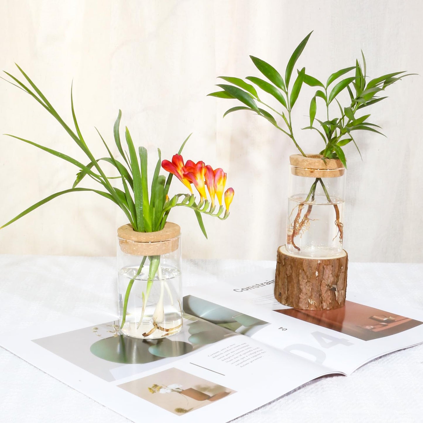wangsdjy Separated Desktop Glass Flower Vases - Ideal Plants Propagation Stations for Living Room, Bedroom Decoration,Home Decor (6)