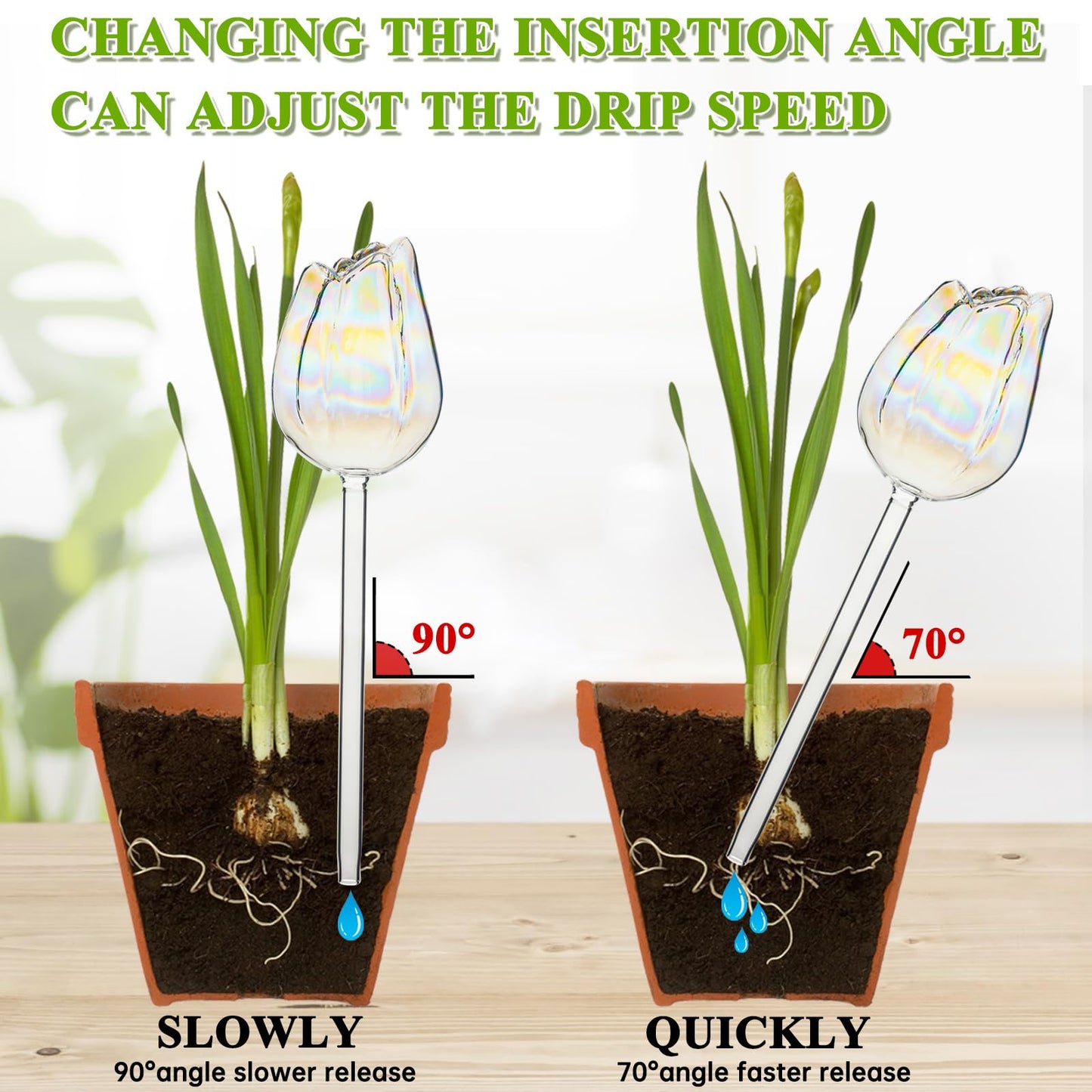 2Pcs Tulips Self Plant Watering Globes, Glass Self Watering Planter Insert, Automatic Plant Waterer Devices Indoor Outdoor (Transparent)