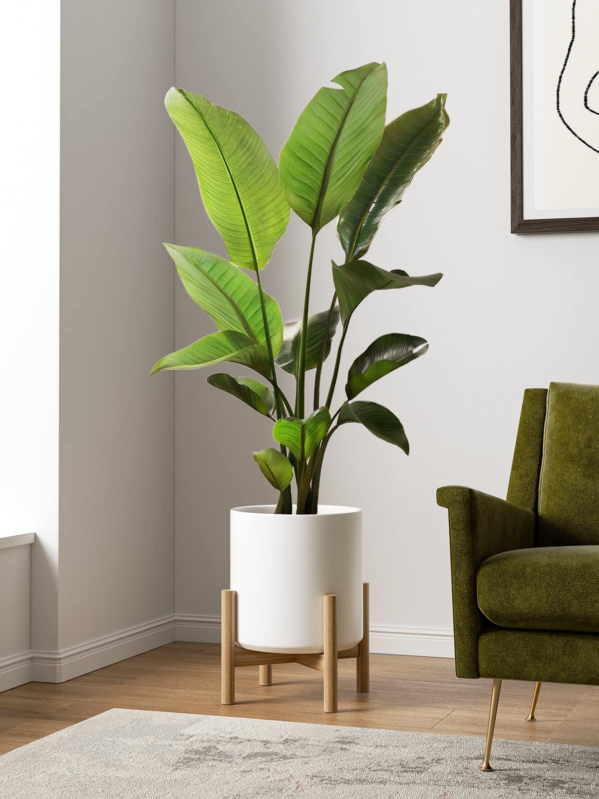 LE TAUCI 12 Inch Pot for Plants, Ceramic Planters for Indoor Plants, Mid-Century Modern Cylinder Flower Pots with Drainage Hole, Fits Fiddle Leaf Fig & Monstera, Home Decor, White