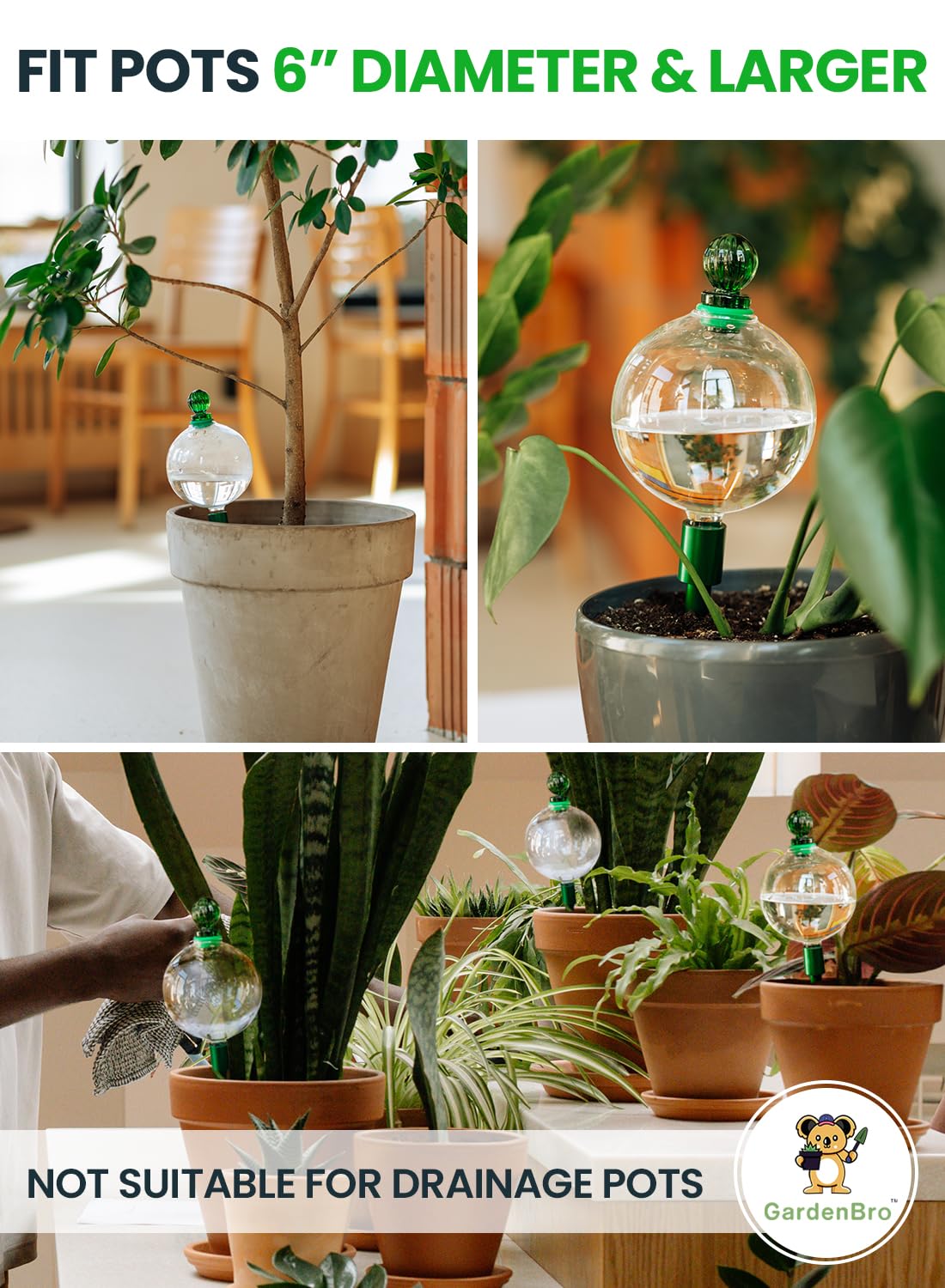 16 Oz Plant Watering Globes for Indoor Plants with Metal Self Watering Planter Insert - Premium XL Glass Hand-Blown Globe - Automatic Plant Waterer Indoor, Gift Idea for Gardeners [1 Globe, Clear]