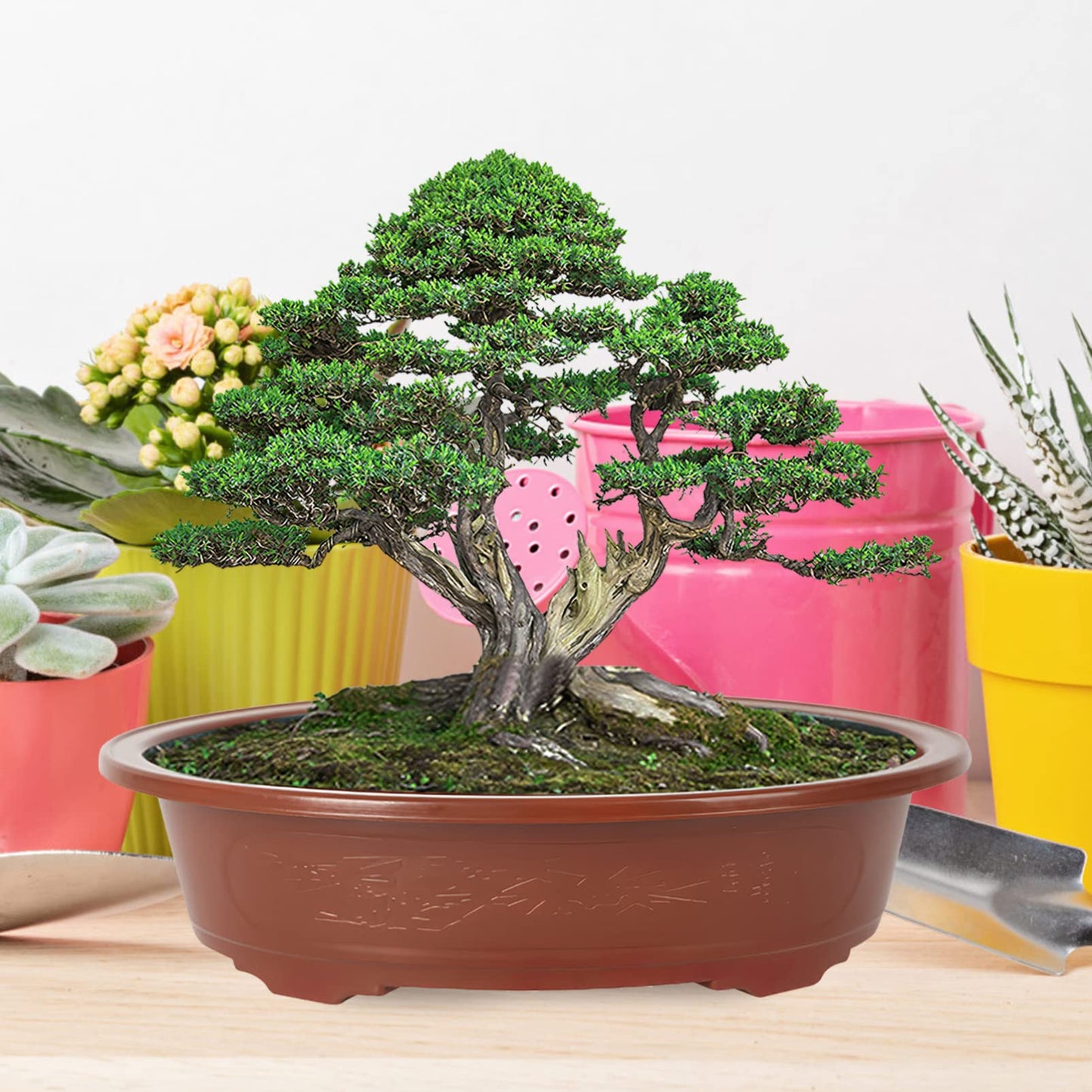 GANAZONO Planters Bonsai Training Pot Plastic Plants Growing Planter 4pcs Oval Oval Bonsai Pot Flowerpot Bowl Plants Growing Pots Brown Plant Pots