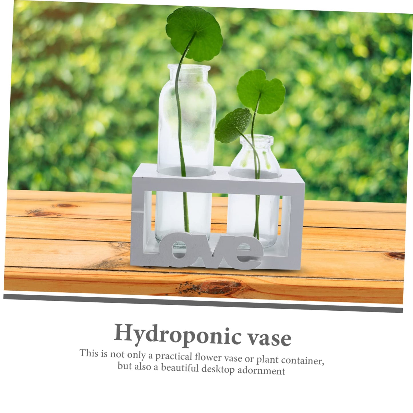 VANZACK Glass Pothos Vase Wooden Stand Hydroponic Desktop Terrarium for Air Plants Decorative Plant Holder